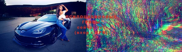 мяу мяу мука Лабытнанги