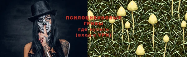 мяу мяу мука Лабытнанги