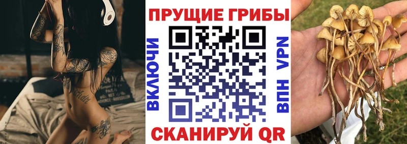 Псилоцибиновые грибы Cubensis  Усть-Илимск 