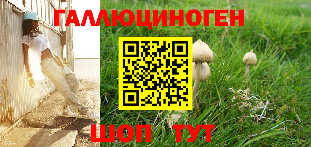 Псилоцибиновые грибы GOLDEN TEACHER Усть-Илимск