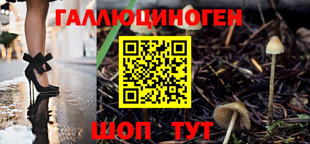 Псилоцибиновые грибы GOLDEN TEACHER Усть-Илимск