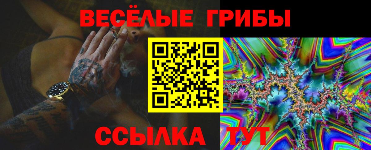 Псилоцибиновые грибы Magic Shrooms  цена наркотик  Усть-Илимск  Вход с VPN 